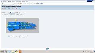 SAP Basis - Import Export Objects in TMS