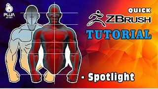 ZBrush 2020 Tutorial - Spotlight and References