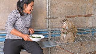 Obedient Kako Family Having Lunch With Rice And Green Vegetable