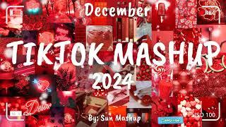 Tiktok Mashup December 2024 (Not Clean)