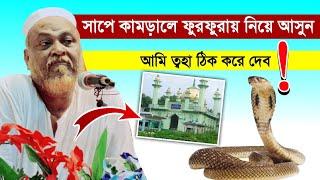 Pirzada toha siddiqui- সাপে কামড়ালে ফুরফুরায় নিয়ে আসুন! কেন এমন বললেন পীরজাদা ত্বহা সিদ্দিকী┇toha