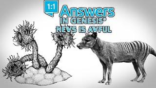 Answers News Is Awful Answers in Genesis (Part 1)