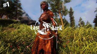 SKYRIM SE. THE LAST DARK 4.0. РЕДГАРД. РАЗБОЙНИК.