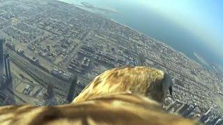 Raw: Bird's-eye View of Dubai Sets New Record