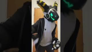 Straight up gay- #furry #furries #fursuit #viral #tiktok #fyp #shorts