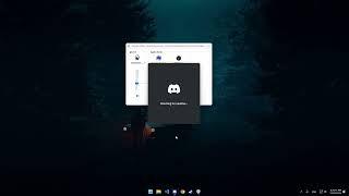 Fix Discord Echo on screen share [SteelSeries Sonar]