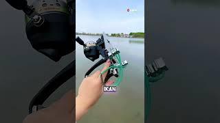 Ketapel Mancing Mania 