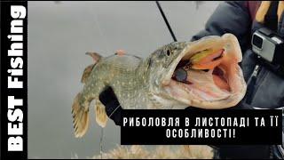 РИБОЛОВЛЯ В ЛИСТОПАДІ ТА ЇЇ ОСОБЛИВОСТІ! #bestfishing #риболовля #поради_рибакам #рибалка #fishing