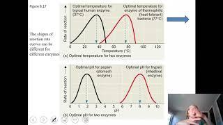 Chapter 8  Factors affecting enzyme activity