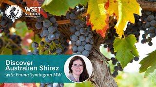 Discover Australian Shiraz with Emma Symington MW