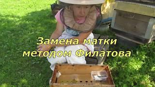 Замена матки методом Филатова