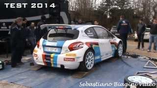 Test Pre-Ciocco 2014 - Paolo Andreucci - Peugeot 208 R5 - Day 1