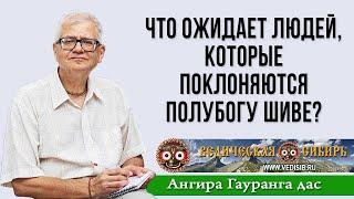 Что ожидает людей, которые поклоняются полубогу Шиве?