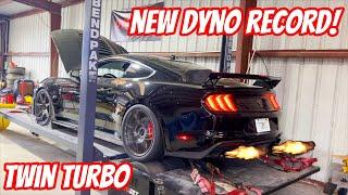 Twin Turbo GT500 SHOCKS US