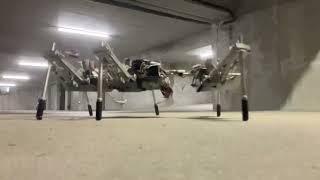 Normal speed insect robot landing 