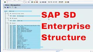 SAP SD Introduction to Enterprise Structure