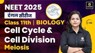 Class 11 Biology | Cell Cycle and Cell Division | NEET 2025 Biology | L-64 | Dr. Ronak Ma'am