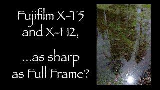 Fujifilm X-T5 and X-H2, ...as sharp as Full Frame?