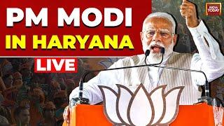 PM Modi Live From Hisar, Haryana | PM Modi's Public Meeting In Hisar | Haryana Assembly Polls | LIVE