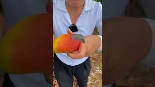 mia jaki mango 