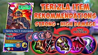 TERIZLA ITEM RECOMMENDATIONS 2024 FOR BEGINNERS  STRONG, HIGH DAMAGE 