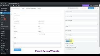 Fluent Forms to FluentCRM Remote Webhook with Custom Field