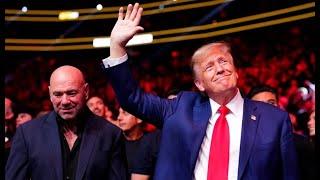 How did UFC become a Trump MAGA cult?