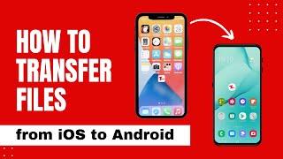 How to Use Zapya to Transfer Files From iPhone to Android