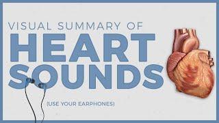 Heart Sounds with their audios - Summarized for YOU!