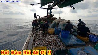 LƯỚI ĐỔNG #6│Kéo Bố Lưới Gỡ Cá Ngập Sàn Ghe.Đem Cá Tươi Sống Về Nấu Ăn.