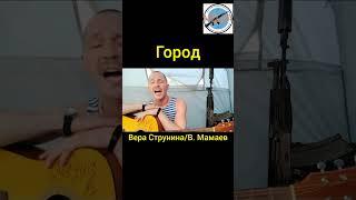 Город - Вера Струнина/Валерий Мамаев. Поёт боец с позывным "Медиа". #город #война #россияукраина