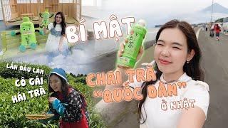  LẦN ĐẦU LÀM CÔ GÁI HÁI TRÀ Bí mật đằng sau chai trà quốc dân ở Nhật l Gokku Egao