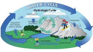 The water (hydrologic) cycle