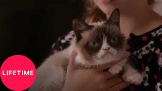 Grumpy Cat's Worst Christmas Ever | Lifetime