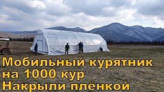 Мобильный курятник на 1000 кур закрыли плёнкой