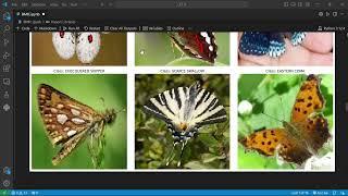 Butterfly Multiclass Image Classification with TensorFlow | 70%+ Accuracy | CodeSpaze Internship