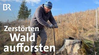 Nicht aufgeben: Waldsterben im Frankenwald | Zwischen Spessart und Karwendel | BR