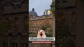 ужасы общаги Оксфорда #оксфорд #великобритания #англия