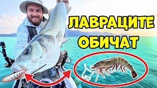 5 дни БЕЗ ПОСОКА! ЕПИЧНО ПРИКЛЮЧЕНИЕ! Риболов на лаврак и ОГРОМНИ заргани!