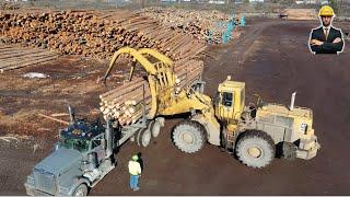 How Logs to Lumber - An Aerial Journey Through the Sawmill