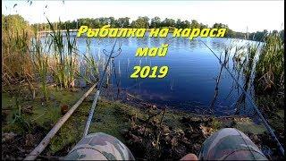 Рыбалка на карася - май 2019. Рыбалка на удочку.