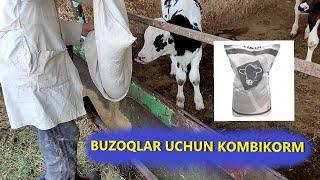 BUZOQLAR UCHUN KOMBIKORM!