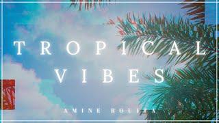 Amine Rouita - Tropical Vibes