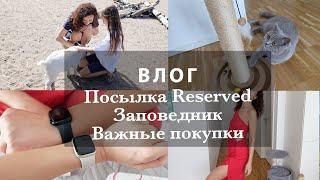 ПОСЫЛКА RESERVED. ОТЗЫВ НА APPLE WATCH. ПОКУПКИ ДЛЯ КОШКИ. ЗАПОВЕДНИК. О СОБРАНИЯХ В ШКОЛЕ