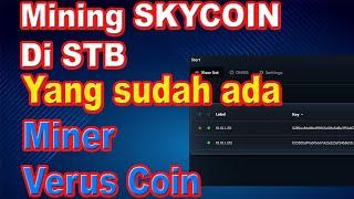 CARA MINING SKYCOIN DI STB - CARA MINING MENGGUNAKAN STB - MINING STB B860H - INSTALL SKYCOIN