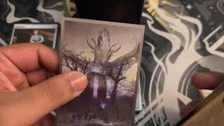 Magic The Gathering ASMR Commander Deckbuild and Giveaway: Gisa's Gloomy Gallery (I Choose Violence)