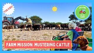 Farm Mission: Moving Cattle to a Fresh Paddock!  