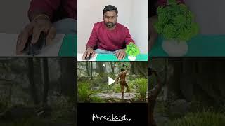 RRR Movie NTR Entry Scene VFX || Mr Sai Krishna