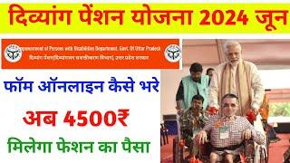 Divyang Pension Online Apply up 2024 | How to apply divyang pension | दिव्यांग पेंशन योजना आवेदन