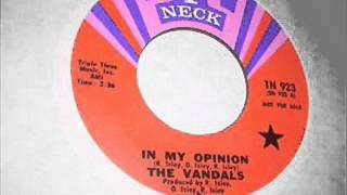 In My Opinion-The Vandals-1969